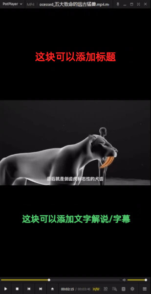 视频批量横转竖软件