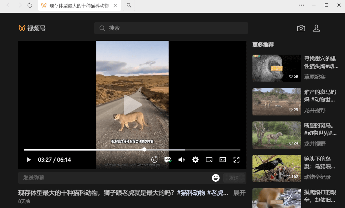 蝴蝶号(视频号)视频提取下载,手把手教你-网创智慧库