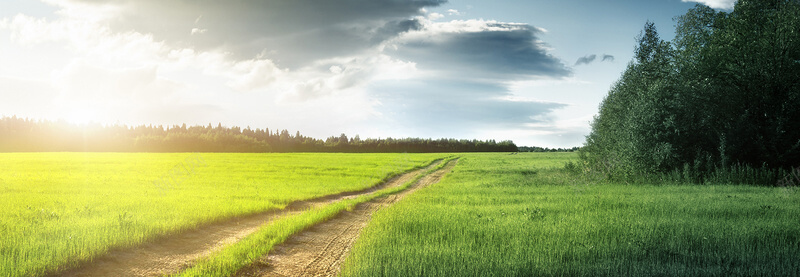 模板素材资源合集-网创智慧库