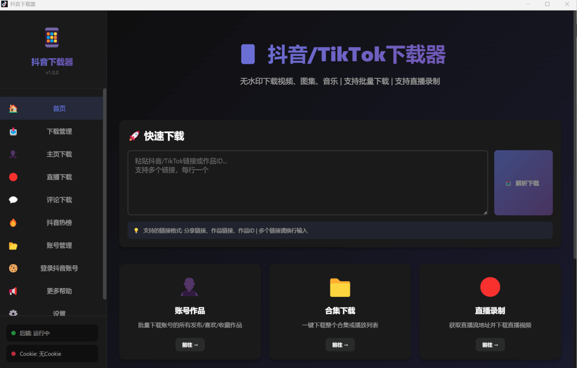 抖音/TikTok视频下载器，下载抖音视频到本地的软件工具-个人生活笔记