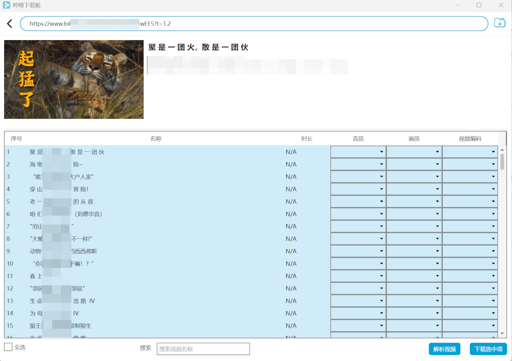 DownKyi哔哩下载姬(B站视频下载工具) 中文绿色版-个人生活笔记