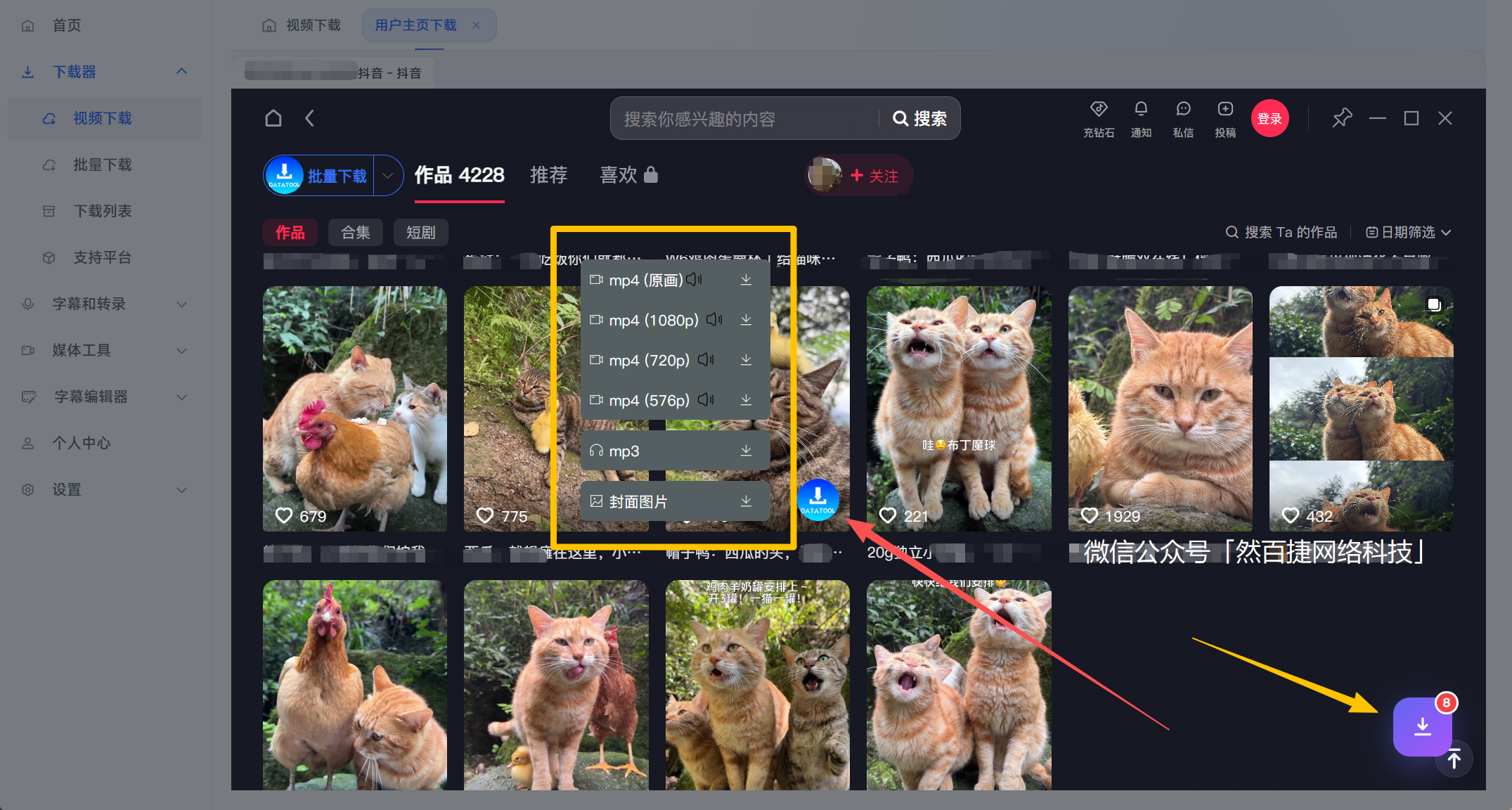 全能视频批量解析下载神器，支持国内外50+平台-然百捷网络科技